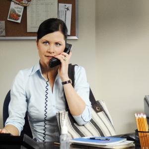 The Perfect Assistant