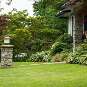 Secrets of My Stepdaughter
