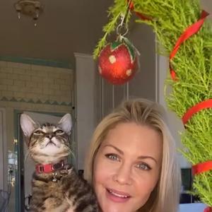 Josie Davis